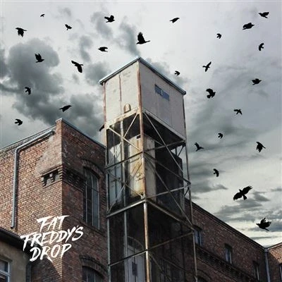 Afbeelding van Fat Freddy&#039;s Drop Blackbird Returns (2 LPs)