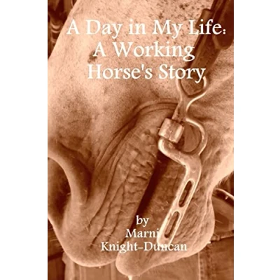 Afbeelding van A Day in My Life