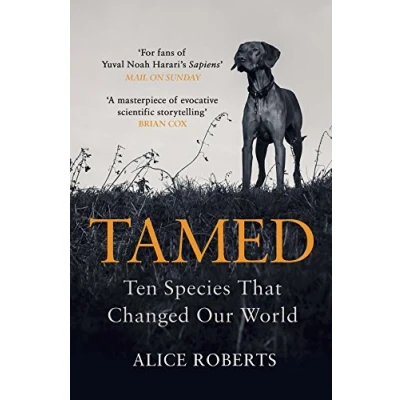 Afbeelding van Tamed
