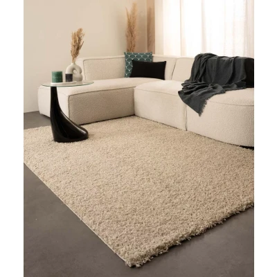 Afbeelding van Hoogpolig Tapijt/Vloerkleed Shaggy Trend Effen Champagne 120x170 Cm
