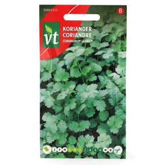 Afbeelding van Koriander Coriandrum sativum Kruiden in pot, bloembak of volle grond.