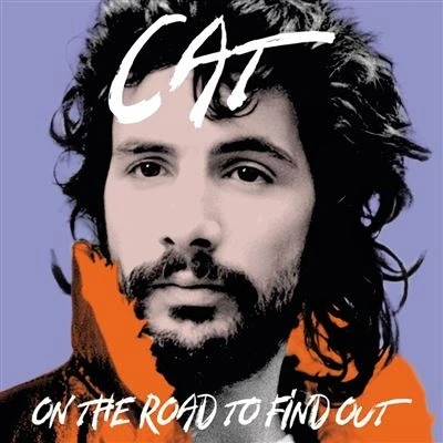 Afbeelding van ON THE ROAD TO FINDOUT: GREATEST HITS