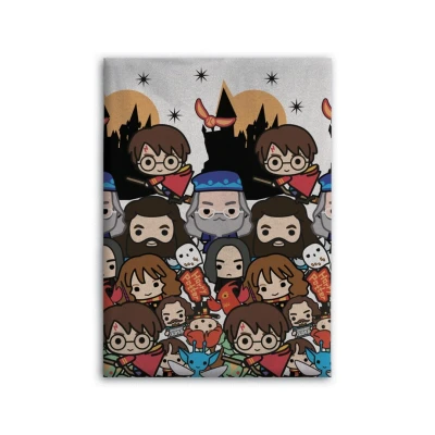 Afbeelding van Harry Potter Fleecedeken Uil 5407007989539