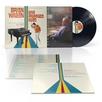 Afbeelding van Brian Wilson Long Promised Road (LP)