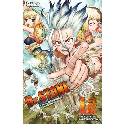 Afbeelding van DR STONE T12