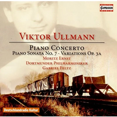 Afbeelding van Moritz Ernst &amp; Dortmunder Philharmoniker Gabr Feltz Piano Concerto (CD)