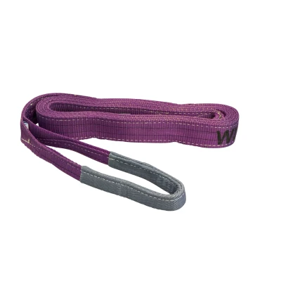 Afbeelding van LoadLok 14001948 Hijsband Polyester Violet 1 ton 4m