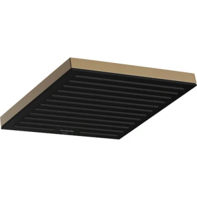 Afbeelding van Hansgrohe Pulsify e hoofddouche 260 1jet brushed bronze