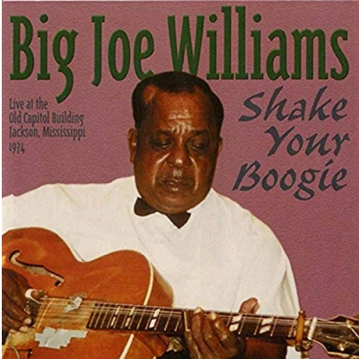 Afbeelding van Shake Your Boogie