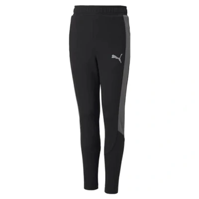 Afbeelding van PUMA Evostripe Pants B