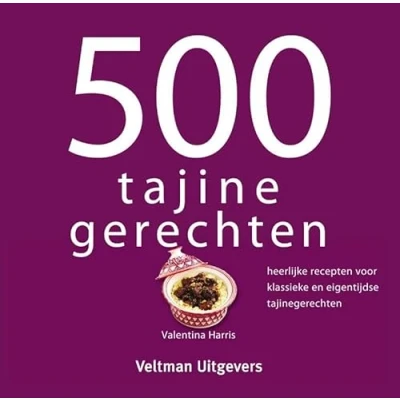 Afbeelding van 500 tajine gerechten