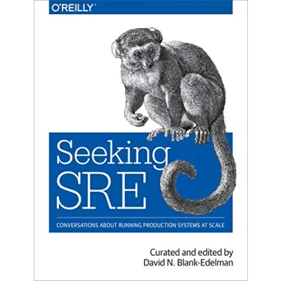 Afbeelding van Seeking SRE