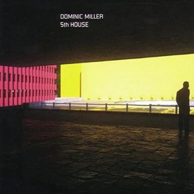 Afbeelding van Dominic Miller Fifth House (LP)