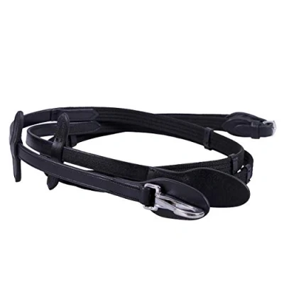Image de QHP Web rein with clip