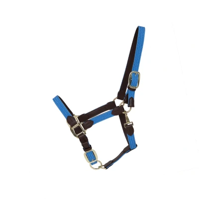 Image de Kentucky Licol Plaited Nylon Bleu clair Full