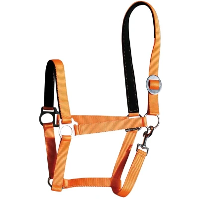 Image de Harry&#039;s Horse Licol Padded Orange XFull