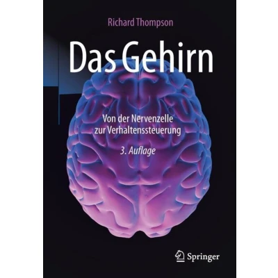 Afbeelding van Das Gehirn