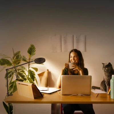 Afbeelding van LEDVANCE SUN@HOME PANAN CLIP bureaulamp, sw, 15W.