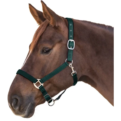 Afbeelding van Halter Satin Shetlander