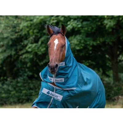 Image de Bucas Atlantic Combinaison Couvre cou 300g Vert XL