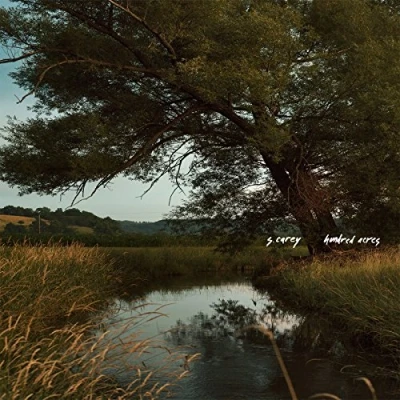 Afbeelding van S. Carey Hundred Acres (CD)