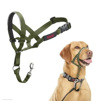 Afbeelding van Halti hondenhoofdband bosgroen maat 3: Doberman, Labrador, Setter hond