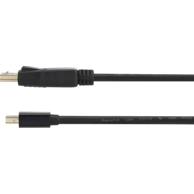 Afbeelding van Renkforce RF 4538178 DisplayPort kabel Mini / Adapterkabel stekker, stekker 3.00 m Zwart Vergulde