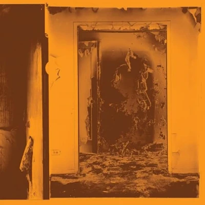 Afbeelding van Facs Present Tense (LP) (Coloured Vinyl)