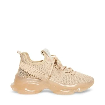 Afbeelding van Steve Madden Maxilla R E Trainers EU 36