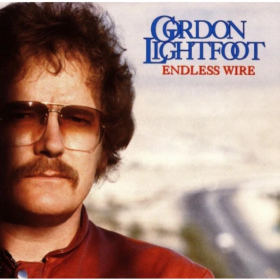 Afbeelding van Gordon Lightfoot Endless Wire (CD)