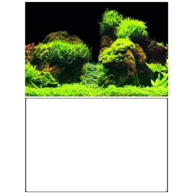 Afbeelding van Superfish Deco Poster E2 60x49 cm