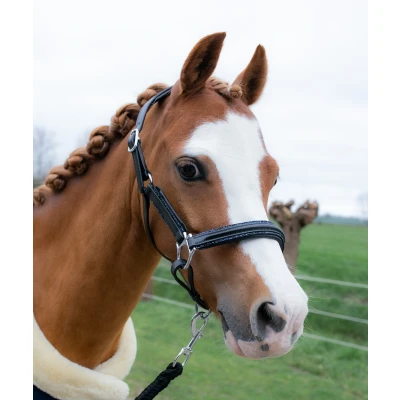 Image de HB Licol Showtime Glitty Little Sizes Noir/Marine Briller A Poney