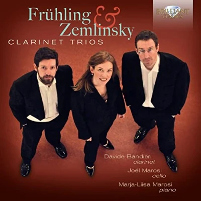 Afbeelding van Davide Bandieri Frühling &amp; Zemlinsky: Clarinet Trios (CD)