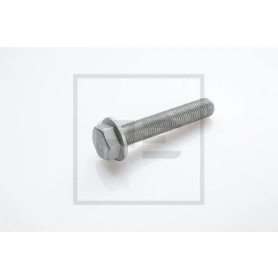 Afbeelding van PETERS ENNEPETAL 016.642 00A Schroef, remschijf Achteras