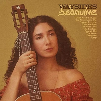 Afbeelding van Bedouine Waysides (LP)