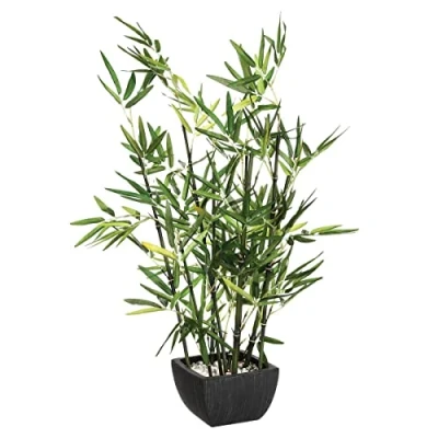 Afbeelding van Bamboeplant (H)70 cm Incl. zwarte pot