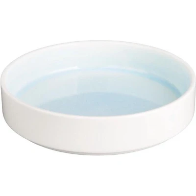 Afbeelding van Olympia Fondant Kommen Aqua Blauw 215mm (4 Stuks) CU174 Restaurant Hotel Professioneel
