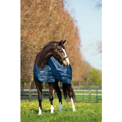 Afbeelding van Horseware Liner 400g Navy 140/191