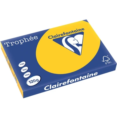 Afbeelding van Clairefontaine Trophée Intens, gekleurd papier, A3, 120 g, 250 vel, zonnebloemgeel