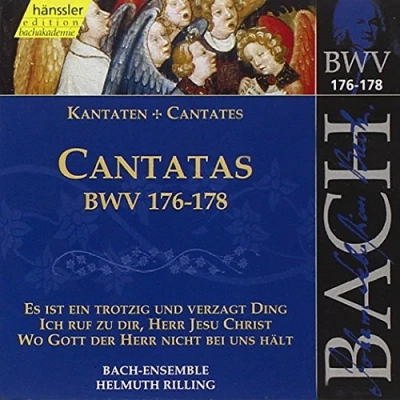 Afbeelding van Bach Ensemble, Helmuth Rilling J.S. Bach: Cantatas Bwv 176 178 (CD)