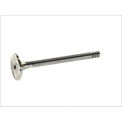 Afbeelding van Uitlaatklep FRECCIA R4805/R