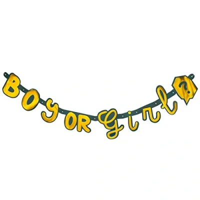 Afbeelding van Boland Letterslinger &#039;Boy or Girl&#039; Geen thema Babyshower Gender reveal
