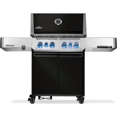 Afbeelding van Napoleon Prestige 500