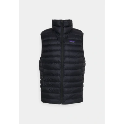 Afbeelding van PATAGONIA M&#039;s Down Herenjas Sweater
