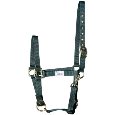 Image de Harry&#039;s Horse Licol 3x Réglable Olive Cob