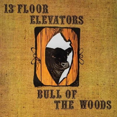 Afbeelding van 13th Floor Elevators Psychedelic Sounds (CD)