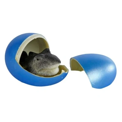 Afbeelding van Shark Egg klein