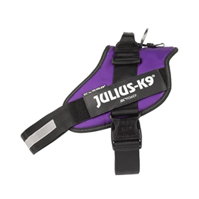 Afbeelding van Julius K9 IDC®Powertuig, 2XL maat 3, Dark Purple