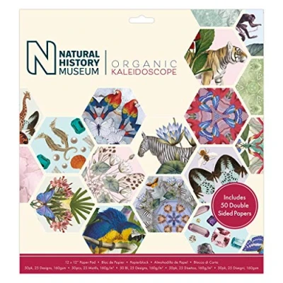 Afbeelding van 12 x 12&quot; Paper Pad (50pk) Kaleidoscope