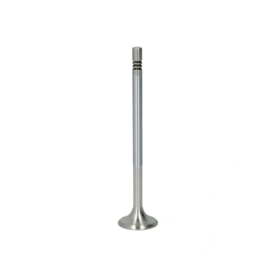 Afbeelding van FRECCIA R6756/BMCR Uitlaatklep 24,7 Klepsteeleind gehard, Verchroomde klepsteel MERCEDES BENZ: E Class Saloon, A Class, Sprinter 5 T Van